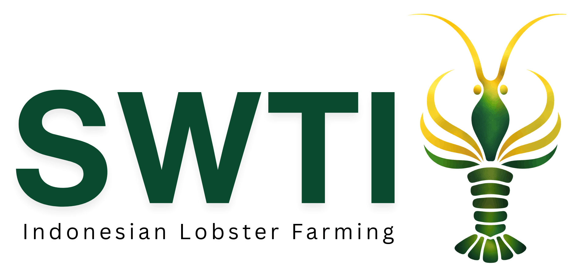 Dashboard Monitoring SWTI